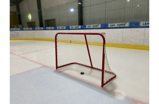 a12a_Eishockeytor U9 (Kids 80 Tore)