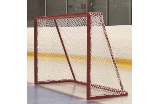 a12_Eishockeytor Training