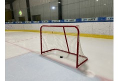 a12a_Eishockeytor U9 (Kids 80 Tore)